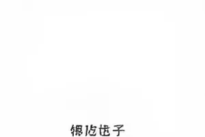 短视频版权归属专题封面图